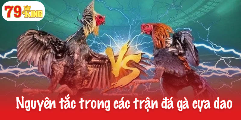 Nguyên tắc trong các trận đá gà cựa dao 